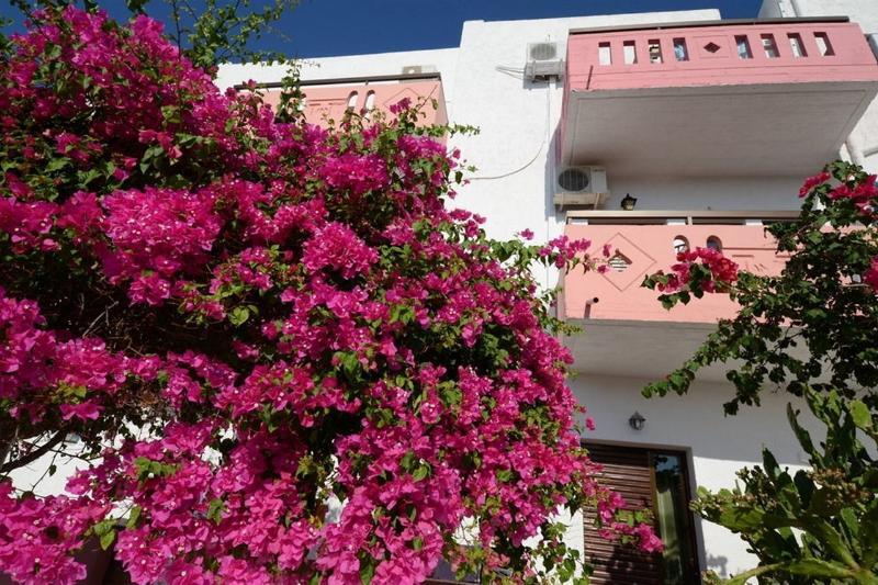 Apokoros Craft Deco Apartments&Studios Καλύβες Εξωτερικό φωτογραφία